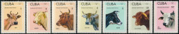 FAU5 Cuba  Nº 1679/85  1973  MNH - Autres & Non Classés