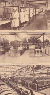 2810	120	Bruxelles, Société Anonyme ‘’Flandria’’ (3 Cartes) - Old Professions