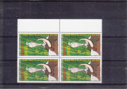 MAYOTTE    PA 3   FAUNE  OISEAU DE MAYOTTE  NEUFS XX EN BLOC DE 4 - Airmail