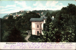 ! Alte Ansichtskarte Hamburg Blankenese, Bauers Park, Villa, 1905 - Blankenese