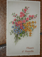 FLEURS D' HANEFFE - DONCEEL. - Donceel