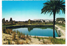 AFR-1710  LUXOR-KARNAK : Sacred Lake - Louxor