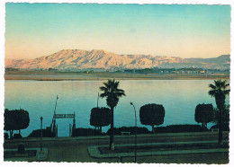 AFR-1711  LUXOR : Nile View In The Morning - Louxor