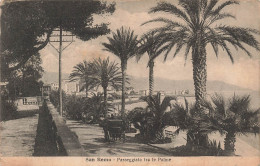 ITALIE - San Remo - Passeggiata Tra Le Palme - Carte Postale Ancienne - San Remo