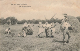 Agriculture * La Vie Aux Champs * Une Bande Joyeuse * Foin Fenaison * Coiffe - Autres & Non Classés