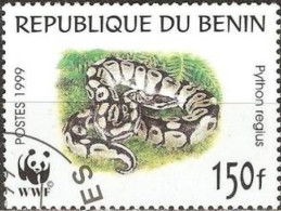 BENIN - Phyton à Boule (Python Regius) - Serpents