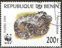 BENIN - Phyton Des Rochers Africains (Python Sebae) - Slangen
