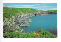 THE BAY. ST. NONS. - Pembrokeshire
