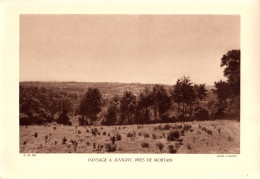 S10-012 Paysage à Juvigny, Près De Mortain - Lieux