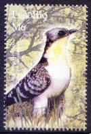 Great Spotted Cuckoo, Birds, Lesotho 2004 MNH - Coucous, Touracos