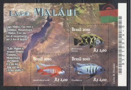 Brazil 2010-Fish -Diplomatic Relation-Brazil Malawi - Unused Stamps