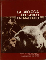 La Patología Del Cerdo En Imágenes - Ciencias, Manuales, Oficios