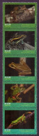 Brazil 2021 Fauna - Frog Species Of Brazil Stamps 5v MNH - Unused Stamps