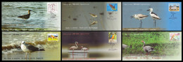 INDIA 2024 SET OF 6 SPECIAL COVER ISSUED FROM POINT CALIMERE WILDLIFE SANTURY KODIAKKARAI FAUNA BIRDS LIMITED KNOWN RARE - Brieven En Documenten