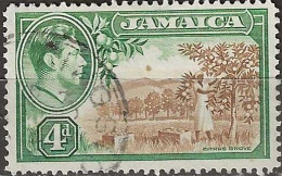 JAMAICA 1938 King George VI - Citrus Grove - 4d. - Brown And Green FU - Jamaïque (...-1961)