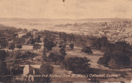 The Domain And Harbour From St. Mary's Cathedral Sydney - Autres & Non Classés