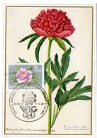 FLEUR + PIVOINE  = AUTRICHE 1964 = CARTE MAXIMUM + N° Yvert 984 - Maximumkaarten