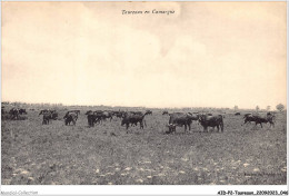 AIDP2-TAUREAUX-0097 - Taureaux En Camargue  - Bull