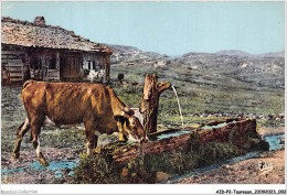 AIDP2-TAUREAUX-0075 - Alpes Pittoresques - Près Du Vieux Chalet - Une Vache â L'abreuvoir  - Stiere