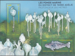 TAAF 2024 Bloc Feuillet Les Fonds Marins Neuf ** - Unused Stamps