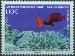 TAAF - 2022 - STAMP MNH ** - Endemic Marine Fauna - Nuovi