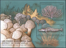 TAAF - 2023 - SOUVENIR SHEET MNH ** - Endemic Marine Fauna Of Adele Island - Ungebraucht
