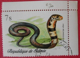 93 République De Guinée Faune Reptile Serpent - Serpents