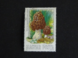 HONGRIE HUNGARY MAGYAR YT 2938 OBLITERE - CHAMPIGNON MUSHROOM / MORILLE - Gebraucht