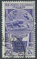 1933 EMISSIONI GENERALI USATO CINQUANTENARIO ERITREO 50 CENT - RA2-3 - Amtliche Ausgaben