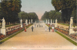 92 Saint-Cloud - Le Parc Parterre De L'Orangerie - Saint Cloud