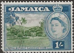 JAMAICA 1956 Queen Elizabeth II - Royal Botanic Gardens, Hope - 1s. - Green And Blue FU - Jamaïque (...-1961)