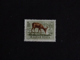 HONGRIE HUNGARY MAGYAR YT PA 143 OBLITERE - CHEVREUIL ROE DEER - Used Stamps