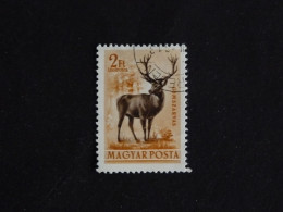 HONGRIE HUNGARY MAGYAR YT PA 145 OBLITERE - CERF DEER STAG - Used Stamps