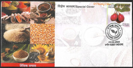 India 2024 Organic, Spices,Sugar,Corn,Jaggery,Cinnamon, Sunflower, Tumeric, Food, Gastronmy, Sp Cover (**) Inde Indien - Storia Postale
