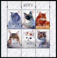 POLAND 2010 Cats Block  MNH / **.  Michel Block 191 - Ongebruikt