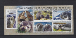 Terres Australes Et Antarctiques Françaises 2010 566 à 569 - Ongebruikt