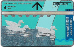 Netherlands - KPN - L&G - R006 - Ducks - 107F - 07.1991, 4Units, 5.000ex, Mint - Privées