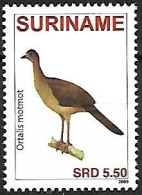 Suriname (Surinam) - MNH ** 2009 :     Little Chachalaca  -  Ortalis Motmot - Gallinacées & Faisans