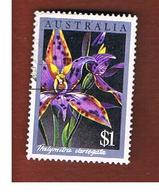 AUSTRALIA  - SG 1035 -  1986 FLOWERS: THELYMITRA VARIEGATA    -  USED - Usati