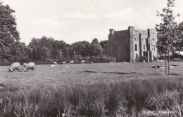 3712	105	Deurne, Kasteelpark (wat Gele Plekjes Boven In De Kaart) - Deurne