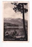 E5525) FAAKERSEE Bei VILLACH - Kärnten - Monopol FOTO AK 20533 - Faakersee-Orte