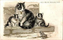 Chromo Au Bon Marché SIT-10 - N°14 Chats Et Crapaud Gatti E Rospo Toad Chat Cat Gatto B.Etat - Au Bon Marché