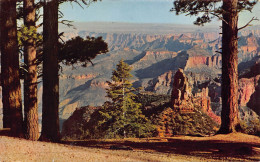 POINT IMPERIAL GRAND CANYON NATIONAL PARK, ARIZONA - Andere & Zonder Classificatie
