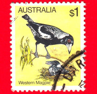 AUSTRALIA ~  Usato ~ 1980 - Uccelli - Gazza Occidentale (Gymnorhina Tibicen Dorsalis) - 1 - Gebruikt
