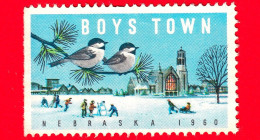 USA - STATI UNITI - Usato  - 1960 - Boys Town - Nebraska - Natale - Uccelli - Neve - Vignetta - Sin Clasificación