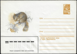 URSS 1980. Entier Postal Enveloppe. Écureuil Sur Une Branche  D'arbre - Rongeurs