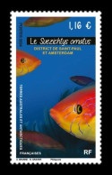 TAAF 2024 Mih. 1199 Fauna. Fishes. Suezichthys Ornatus MNH ** - Unused Stamps