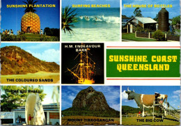 12-3-2025 (2 Y 46) Australia - QLD - Sunshine Coast (Big Sheel - Big Cow - Big Pineaple Etc) - Sunshine Coast