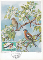 Carte Maximum Hongrie Hungary Oiseau Bird 1480 Pinson Finch - Cartes-maximum (CM)