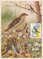 Carte Maximum Hongrie Hungary Oiseau Bird 1478 Rossignol Nightingale - Cartes-maximum (CM)